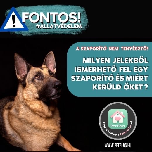 Tenyszt, vagy szaport? Ismerd fel a jeleket! 